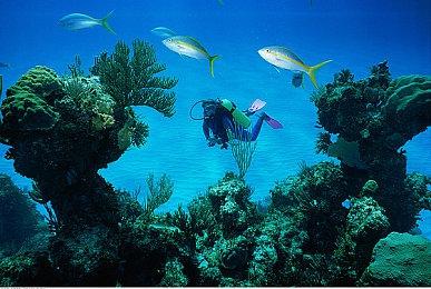 AMD下代显卡光追和动画性能大提升！官方详解硬件级DGF